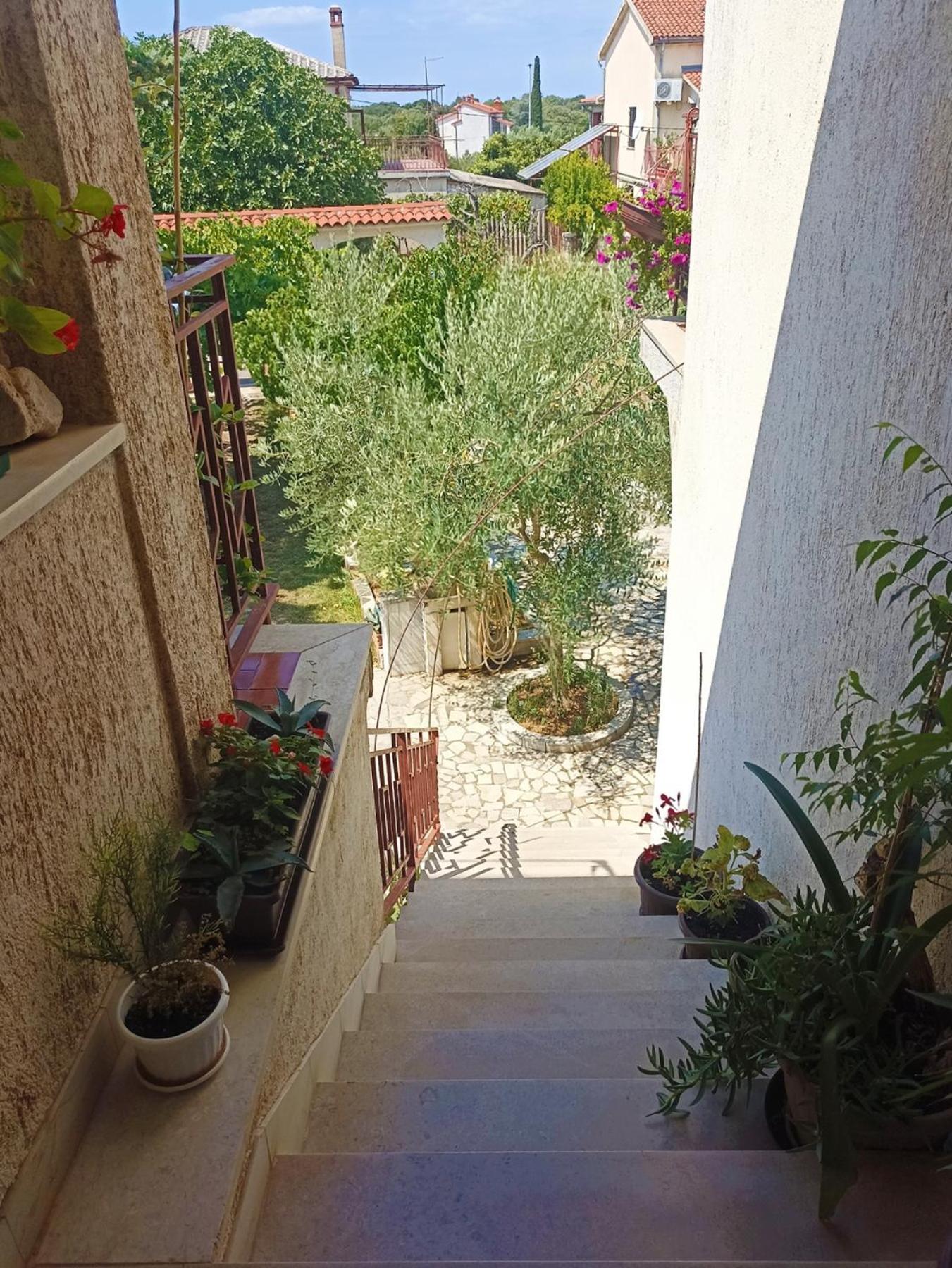 Apartments Villa Laura Pula Dış mekan fotoğraf