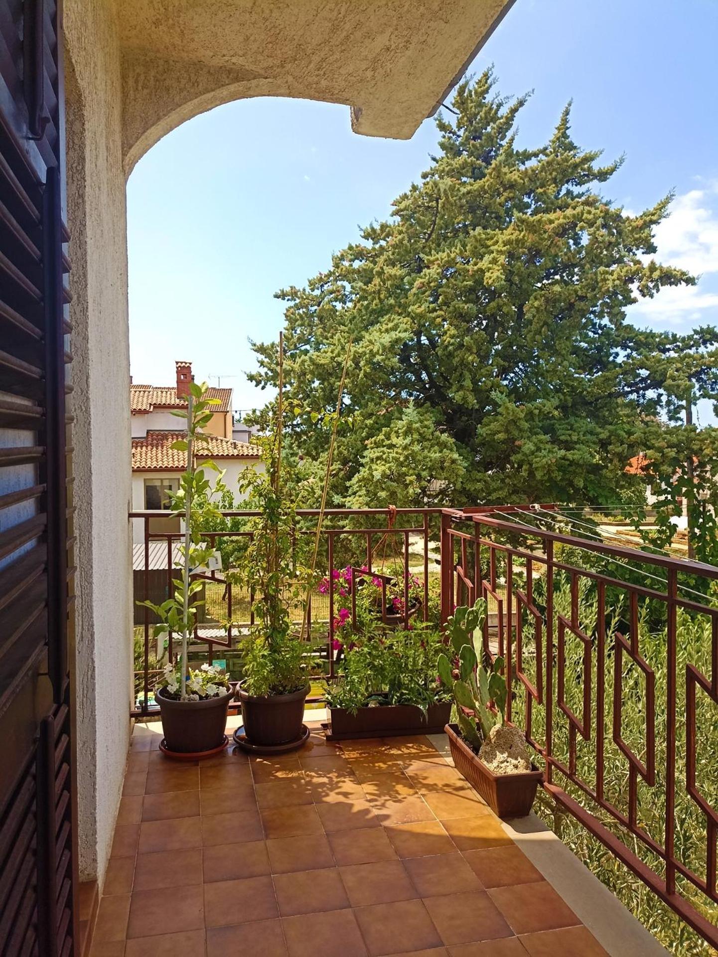 Apartments Villa Laura Pula Dış mekan fotoğraf