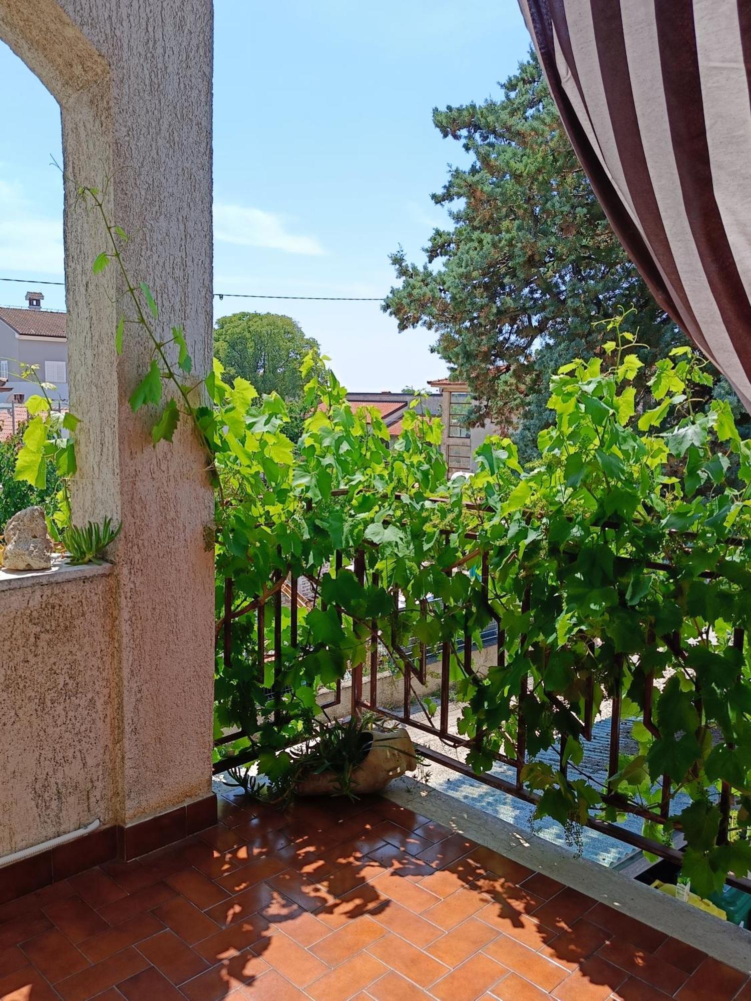 Apartments Villa Laura Pula Dış mekan fotoğraf