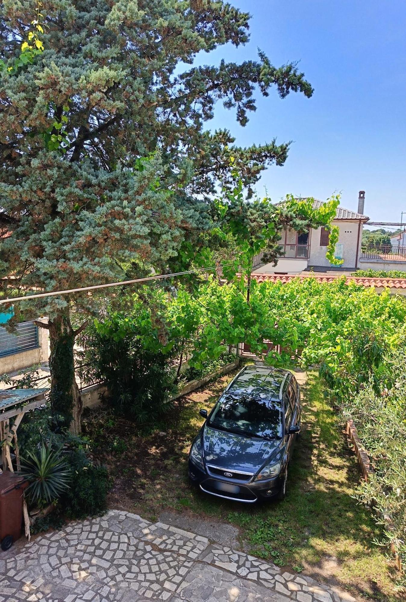Apartments Villa Laura Pula Dış mekan fotoğraf