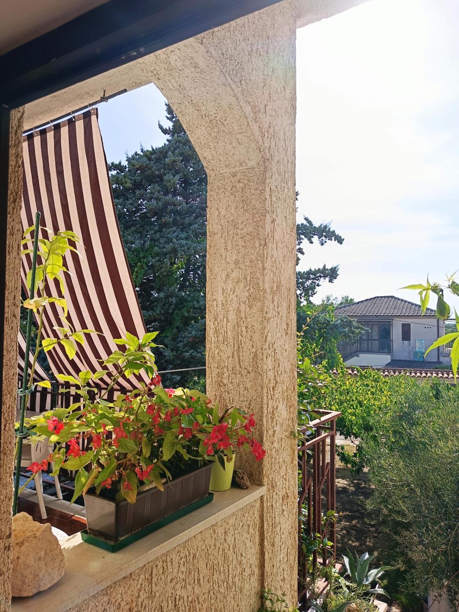 Apartments Villa Laura Pula Dış mekan fotoğraf